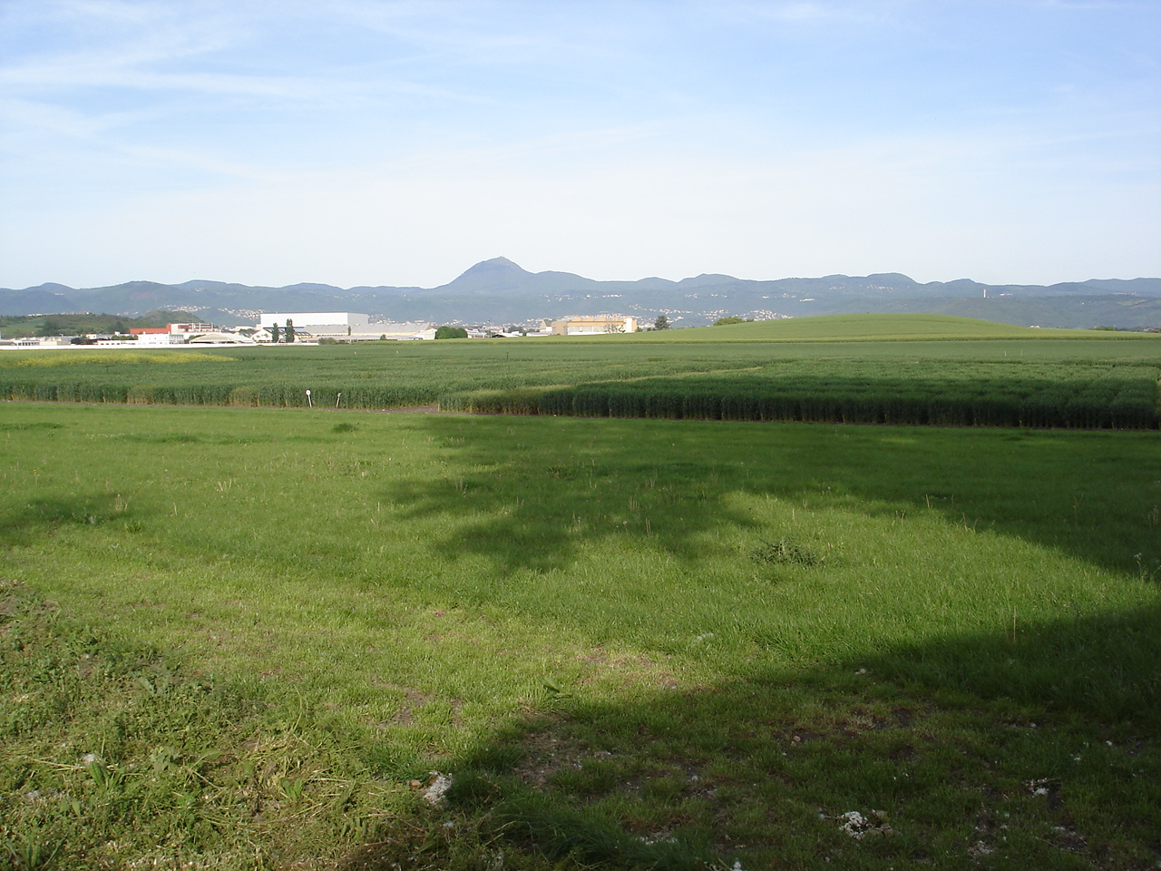 Observations de terrain et prise de décision EcophytoPIC